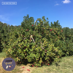 Cider Season Finale Pt. 2: C. Haston Cider & Jessica Backhus